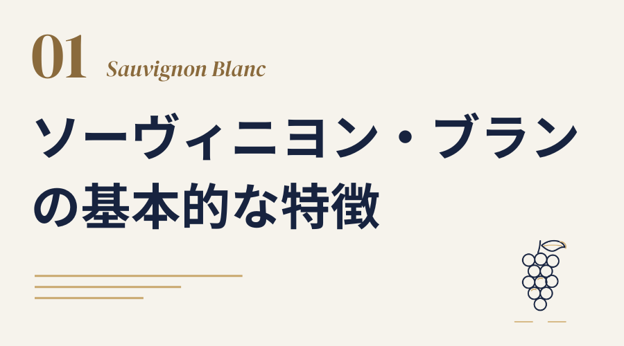 ソーヴィニヨン・ブランの基本的な特徴